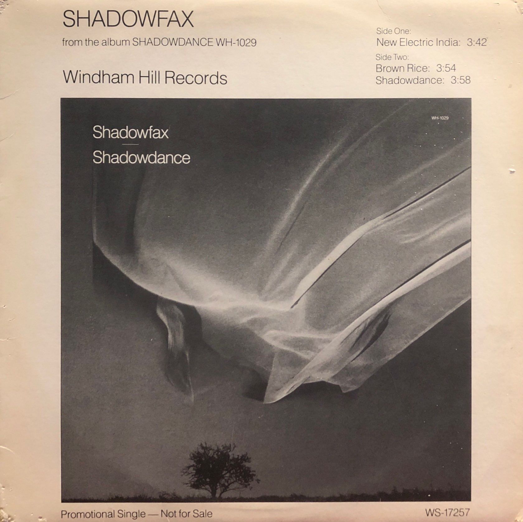 Shadowfax – New Electric India MAXI