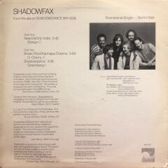 Shadowfax – New Electric India MAXI