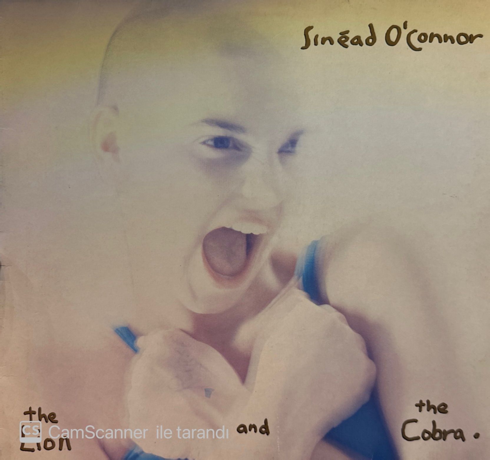 Sinéad O'Connor – The Lion And The Cobra LP