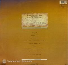 Sinéad O'Connor – The Lion And The Cobra LP