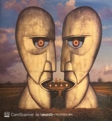 Pink Floyd – The Division Bell ( Pink Vinyl ) LP