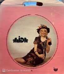 Ajda Pekkan - Hoş Gör Sen LP