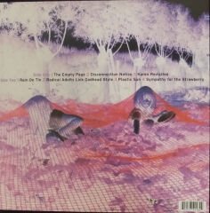 Sonic Youth – Murray Street LP