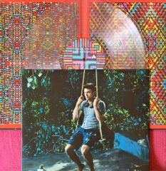 Sufjan Stevens – The Ascension ( Limited Edition, Pallas, Clear ) LP