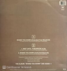 Gregory Abbott – Shake You Down (Extended Club Mix) MAXI