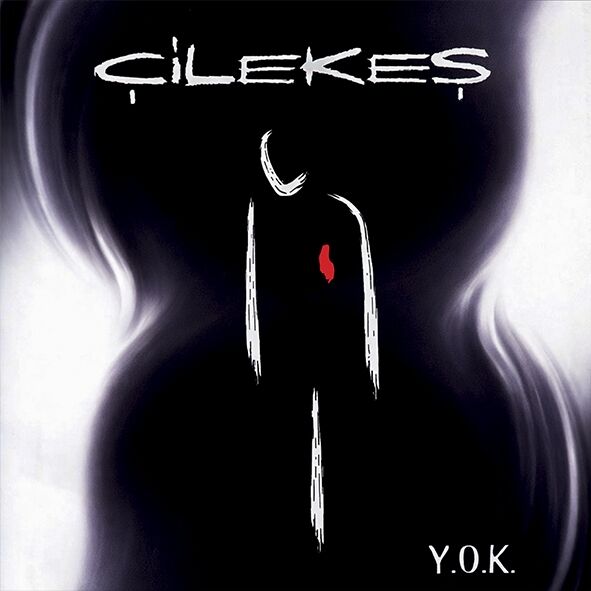 Çilekeş - Y.O.K. LP
