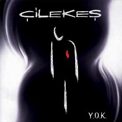 Çilekeş - Y.O.K. LP
