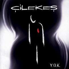 Çilekeş - Y.O.K. LP
