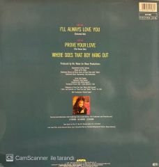 Taylor Dayne – I'll Always Love You MAXI