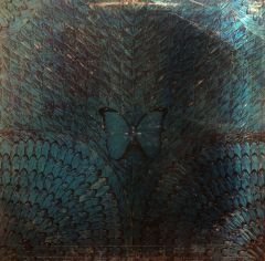 Santana – Borboletta LP