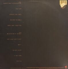 Tracy Chapman – Tracy Chapman ( Fast Car ) LP