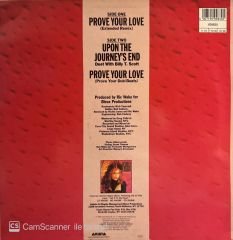 Taylor Dayne – Prove Your Love (Extended Remix) MAXI