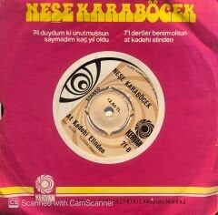Neşe Karaböcek - Dertler Benim Olsun / At Kadehi Elinden 45lik
