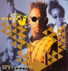 Adventures Of Stevie V – Jealousy MAXI
