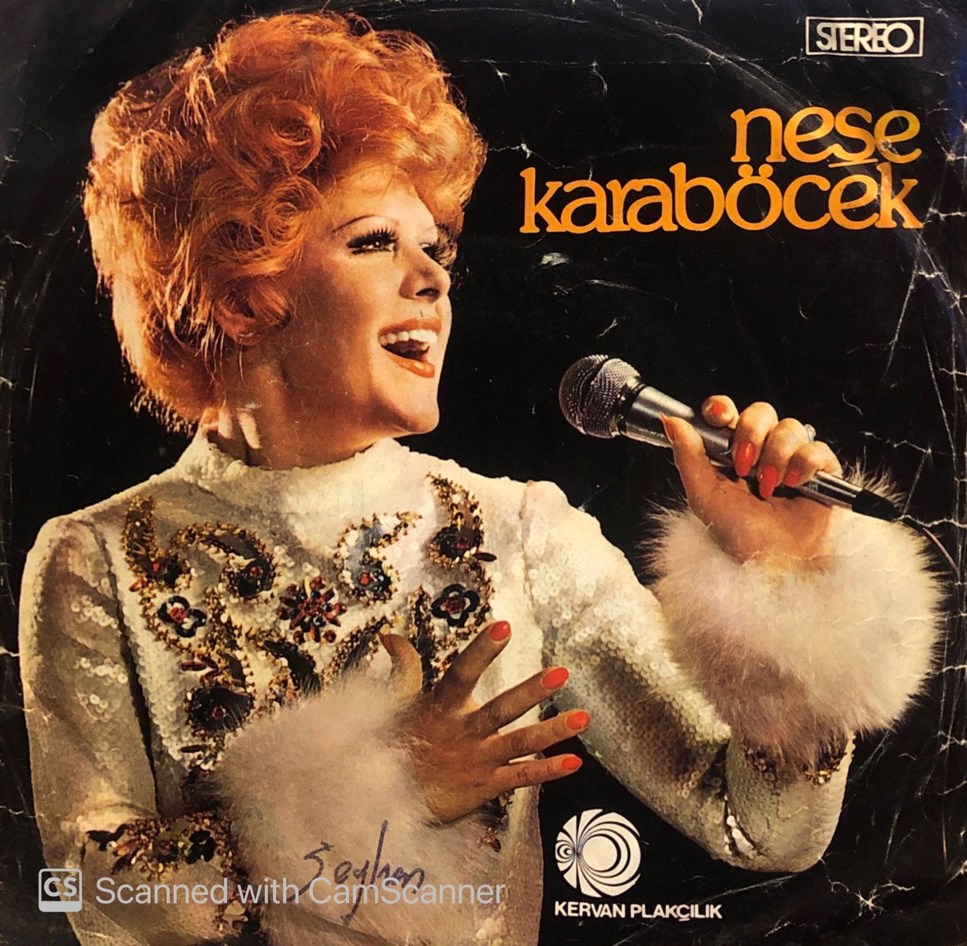 Neşe Karaböcek - Gönül / Köle 45lik