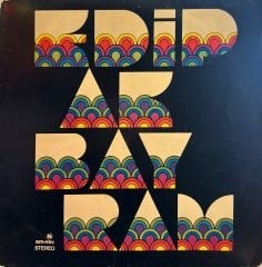 Edip Akbayram - İnce İnce Bir Kar Yağar  LP ( Sayan )