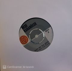 Neşe Karaböcek - İntizar / Karlı Bir Kış Günü 54'lik