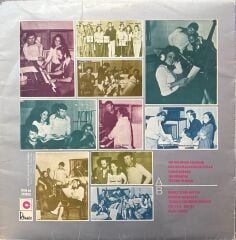 Erol Evgin – İşte Öyle Bir Şey LP