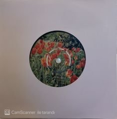 Ayla Dikmen - Yanan Mum / Al Yanaklım 45'lik