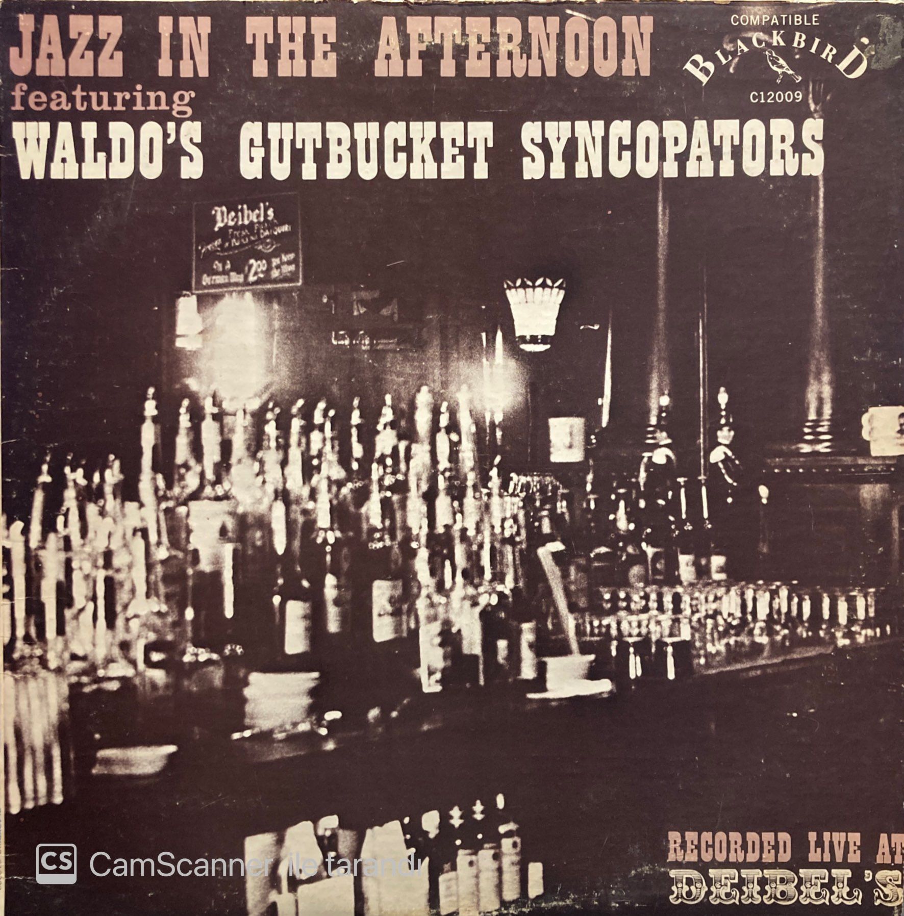 Waldo's Gutbucket Syncopators – Jazz In The Afternoon LP