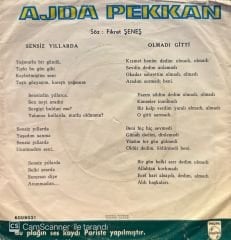 Ajda Pekkan - Sensiz Yıllarda / Olmadı Gitti 45'lik