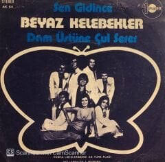Beyaz Kelebekler - Sen Gidince / Dam Üsüne Çul Serer 45lik