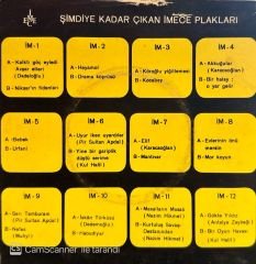 Ruhi Su - Bugün Ayın Işığı / Çamdan Sakız Akıyor 45'lik