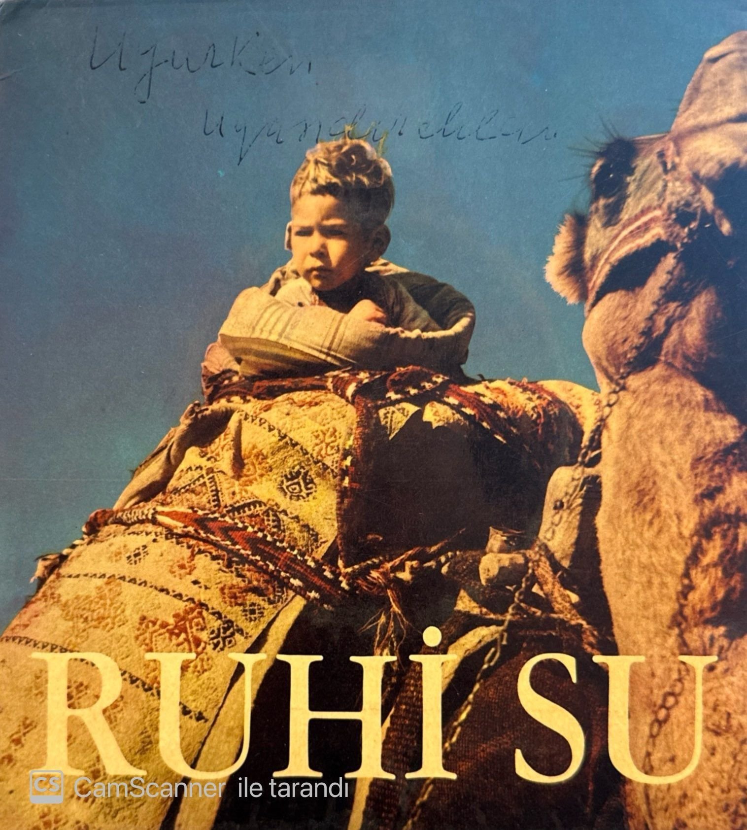 Ruhi Su - Evlerinin Önü Mersin / Mor Koyun 45'lik