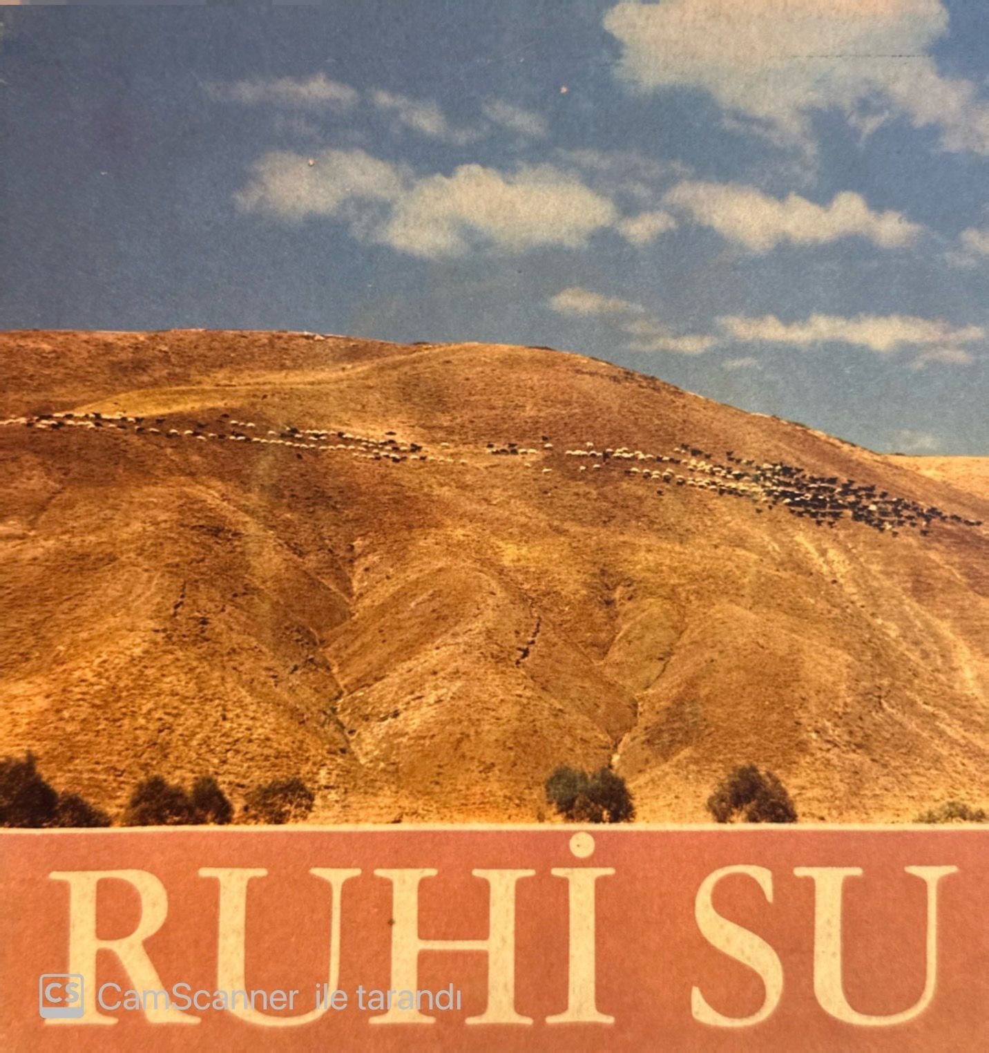 Ruhi Su - Köroğlu Yiğitlemesi / Kocabey 45'lik