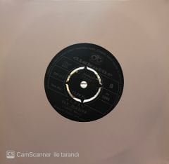 Alpay - Can Karagözlüm / Sev Ölesiye 45'lik