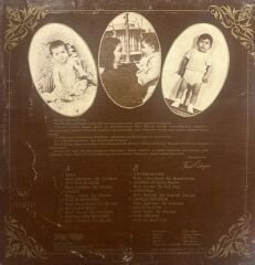 Ferdi Özbeğen – Seviyorum Delicesine LP