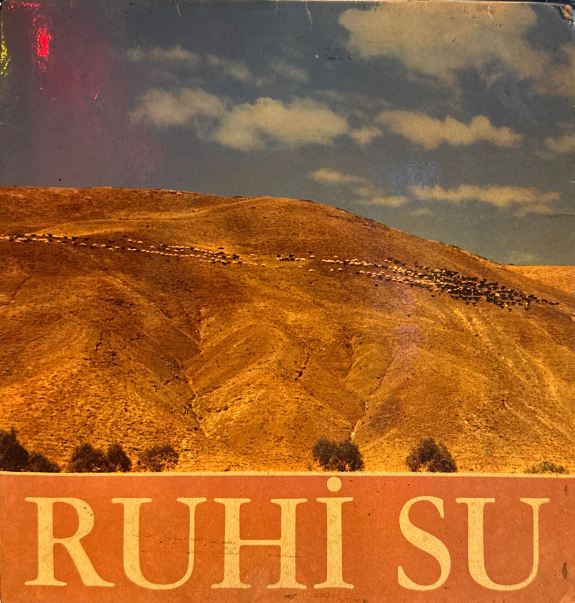 Ruhi Su - Kalktı Göç Eyledi Avşar Elleri / Niksarın Fidanları 45'lik
