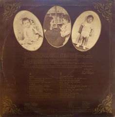 Ferdi Özbeğen – Seviyorum Delicesine LP