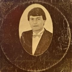 Ferdi Özbeğen – Seviyorum Delicesine LP