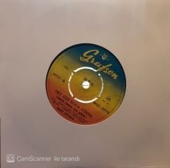 Zeki Müren - Katip Arzuhalim Yaz Yare Böyle / Hey Gidi Koca Dünya 45'lik