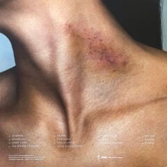 Sevdaliza – Shabrang ( Audiophile Vinyl, Grey ) LP