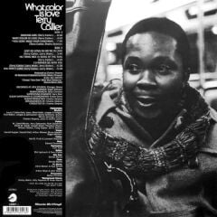 Terry Callier – What Color Is Love ( Audiophile Vinyl ) LP