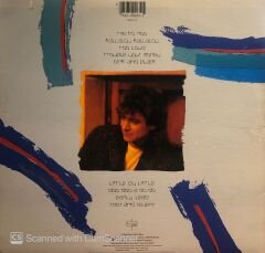 Robert Plant – Shaken 'N' Stirred LP