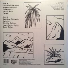 ALTIN GÜN LP ( 4'lü Bundle )