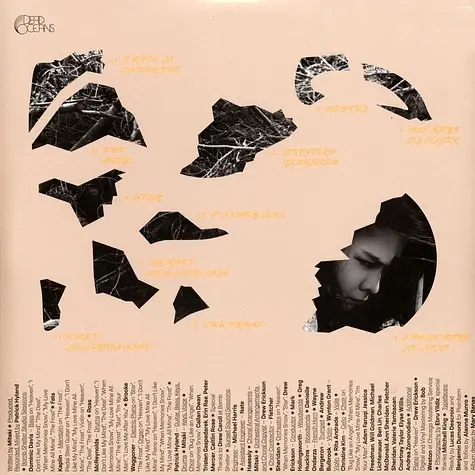 Mitski – The Land Is Inhospitable And So Are We LP