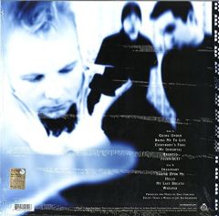 Evanescence - Fallen LP