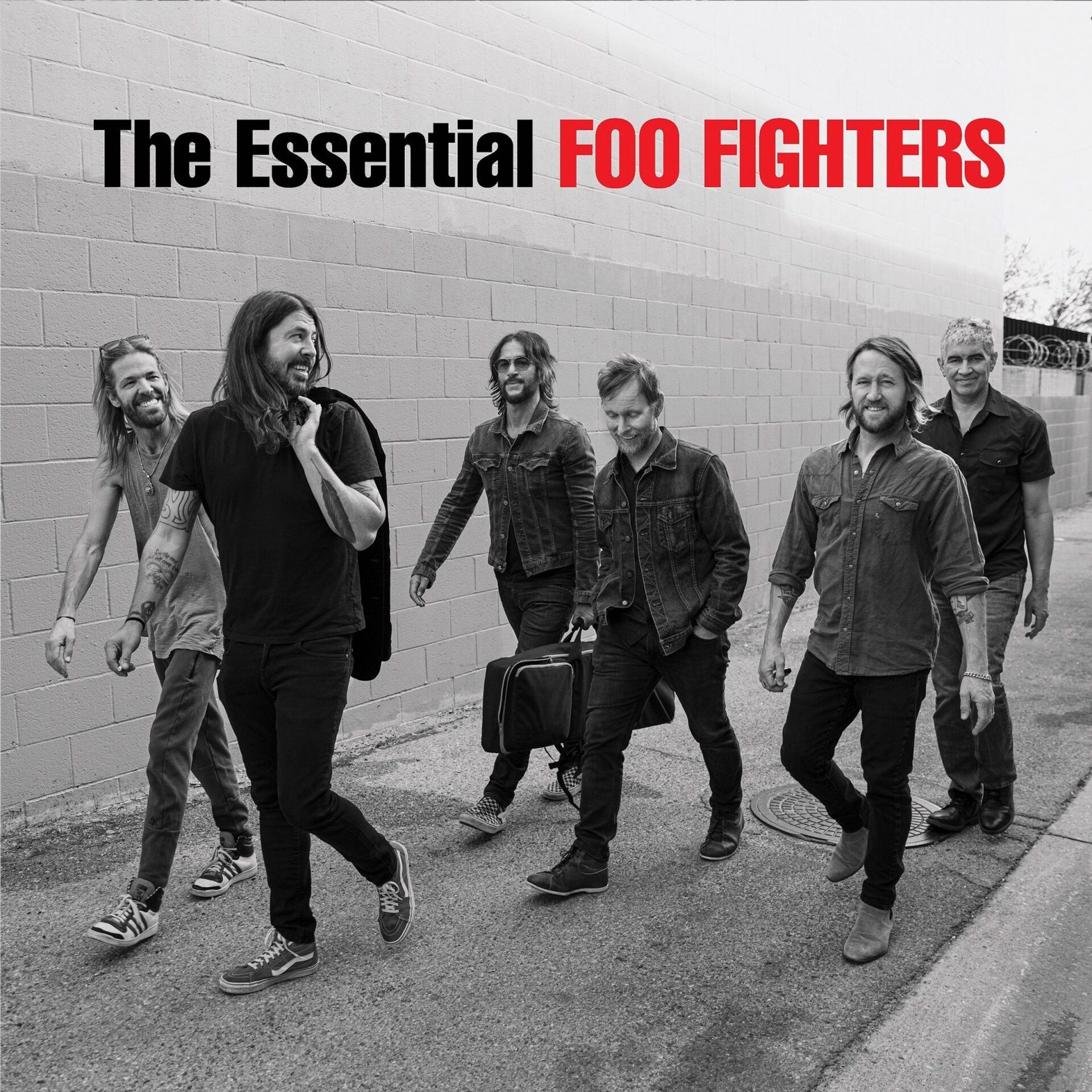 Foo Fighters - The Essential LP