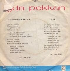 Ajda Pekkan - Yalnızlıktan Bezdim / Gel 45lik