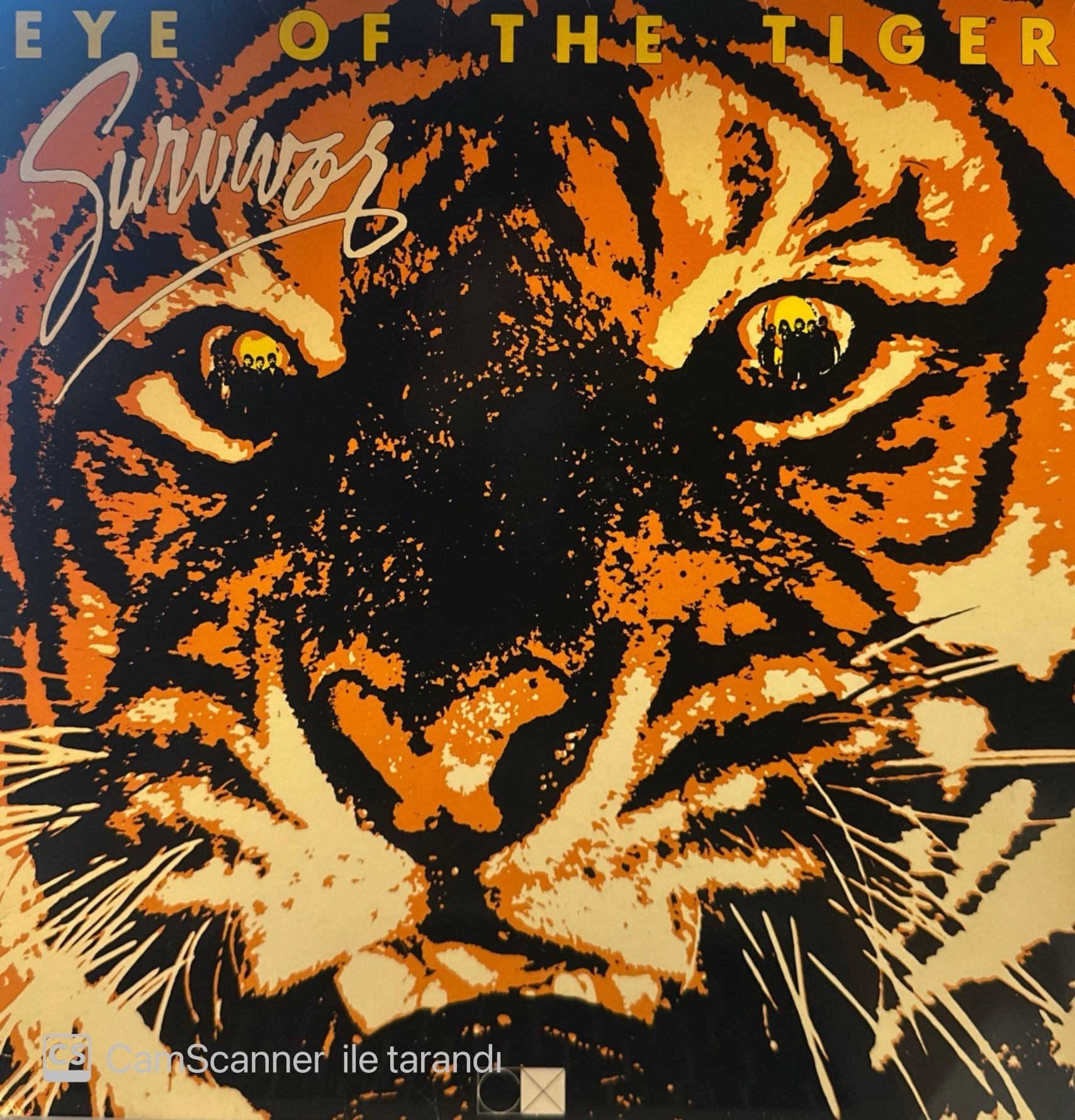 Survivor – Eye Of The Tiger LP