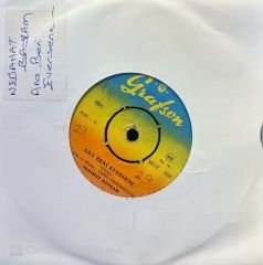Nezahat Bayram - Ana Beni Eversene / Şekerdağı 45'lik