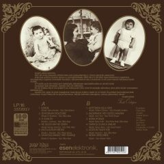 Ferdi Özbeğen - Seviyorum Delicesine LP