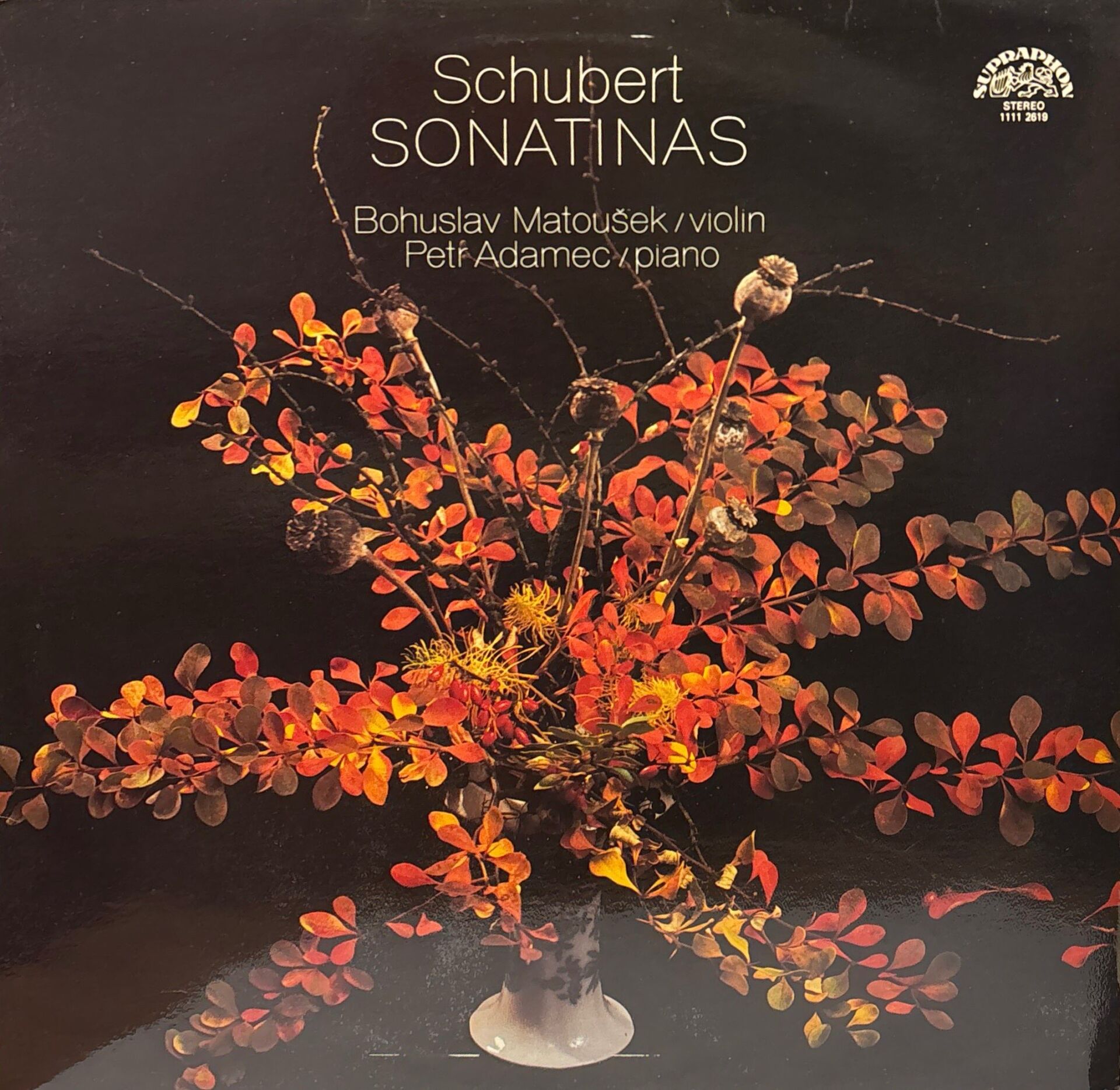 Franz Schubert – Sonatinas For Violin and Piano, Op. 137 (Sonatiny Pro Housle A Klavír) LP