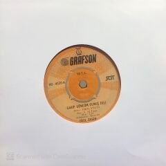 Erol Evgin - Bulmak İsterim Seni / Garip Gönlüm Olmuş Deli 45lik