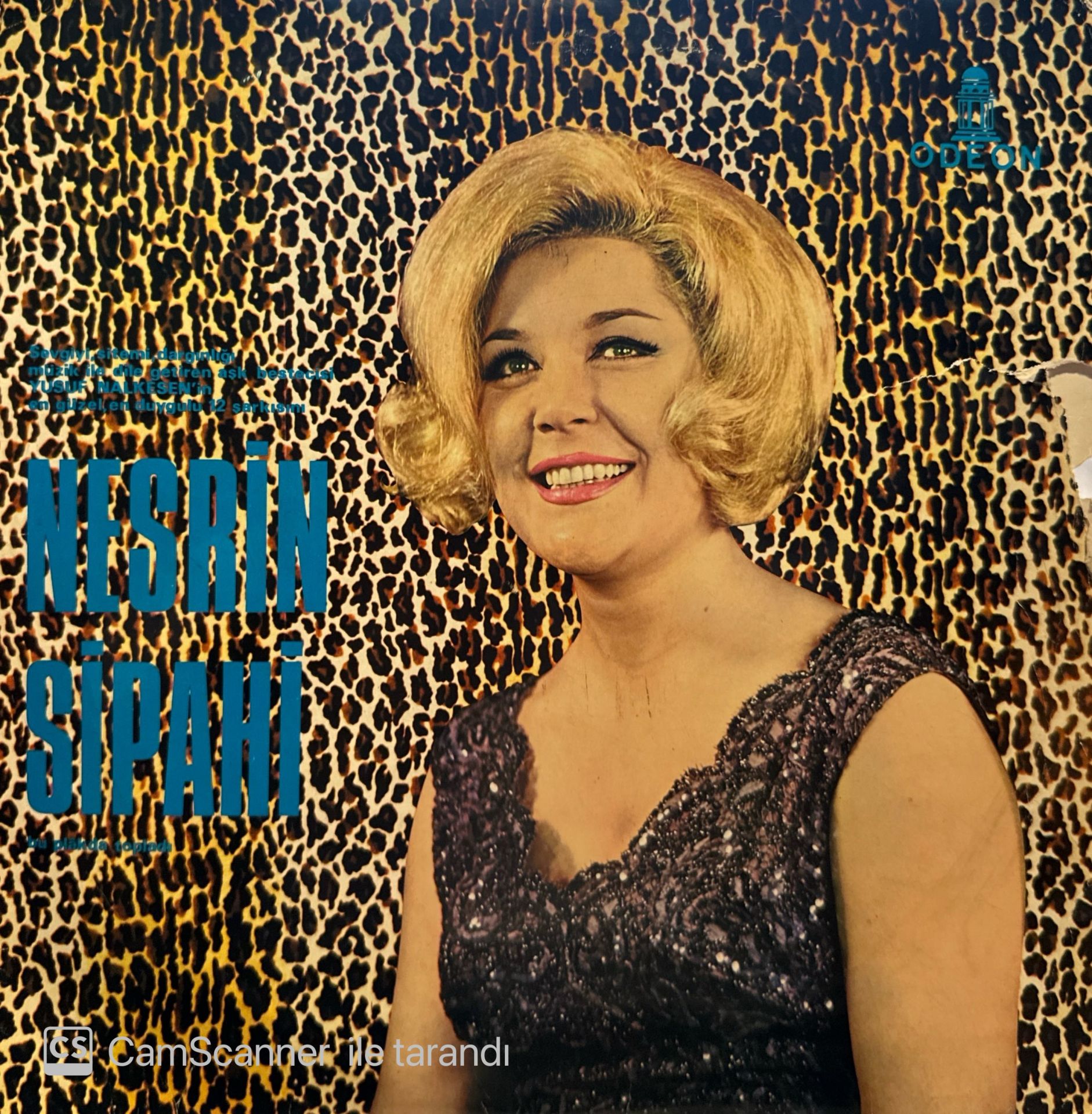 Nesrin Sipahi – Yusuf Nalkesen'in Eserleri LP
