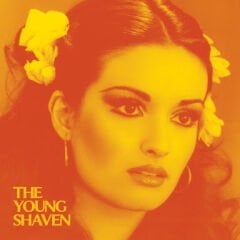 The Young Shaven – Honey Babe / It's Gone To Stay 45'lik